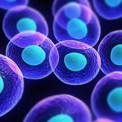 Značilnosti matičnih celic