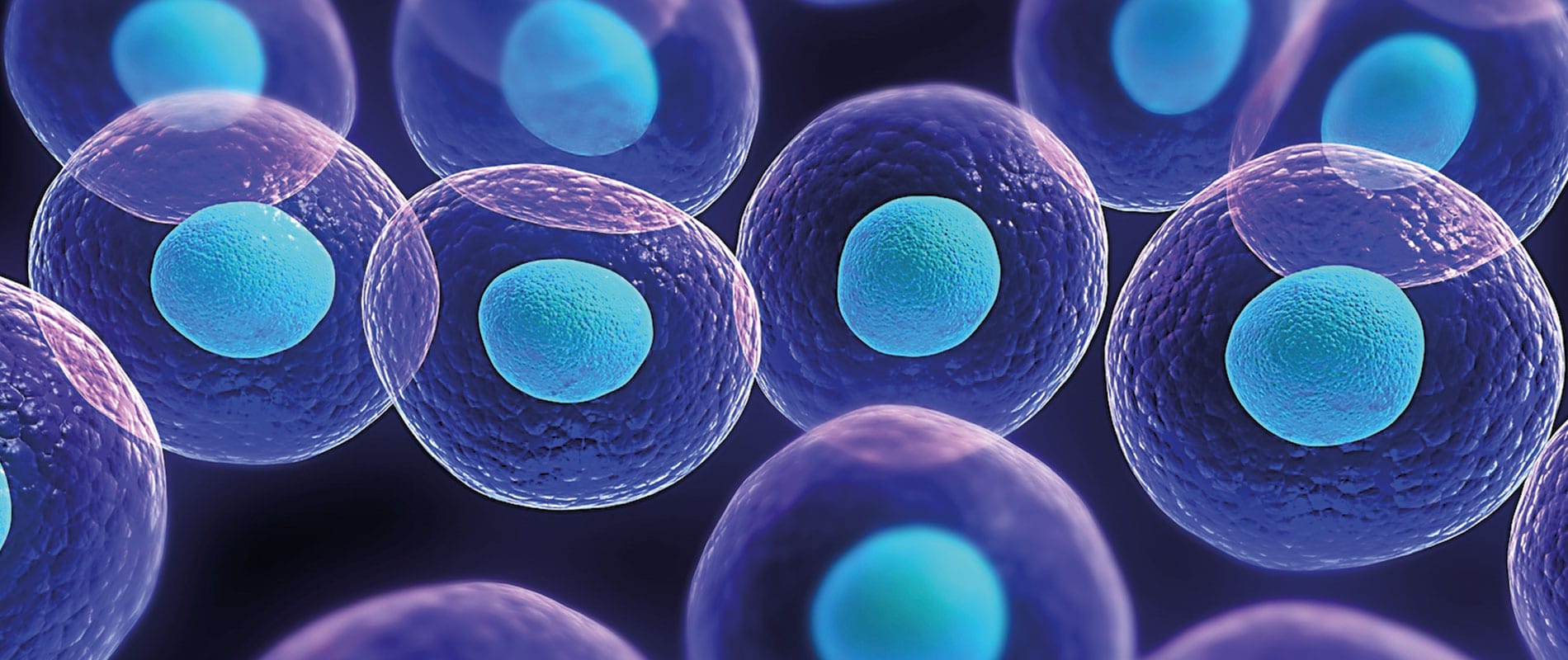 Značilnosti matičnih celic